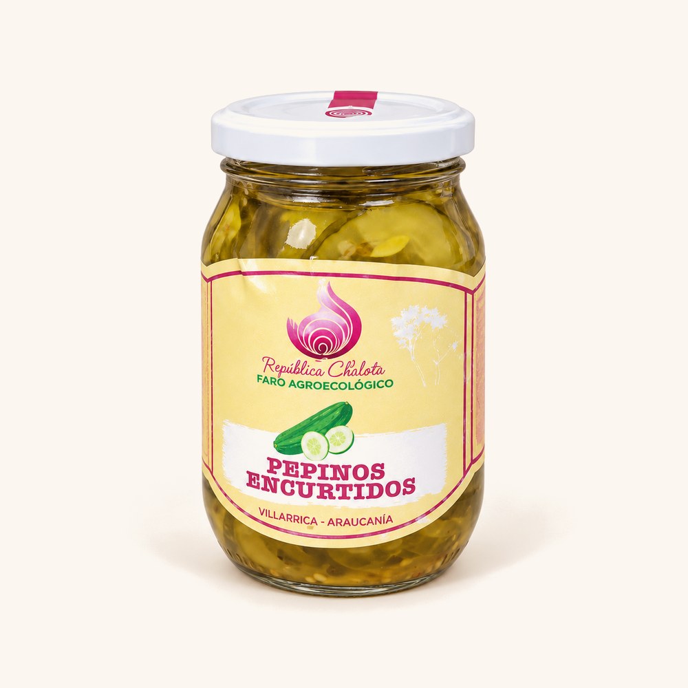 Pepinos encurtidos